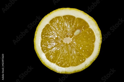 Domestic lemon fruit from the tree. Slovakia