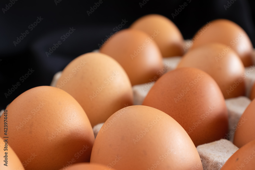 Chicken eggs in panel on black background Chicken eggs in panel on black background