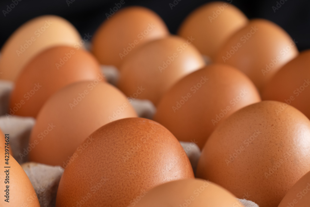 Chicken eggs in panel on black background Chicken eggs in panel on black background