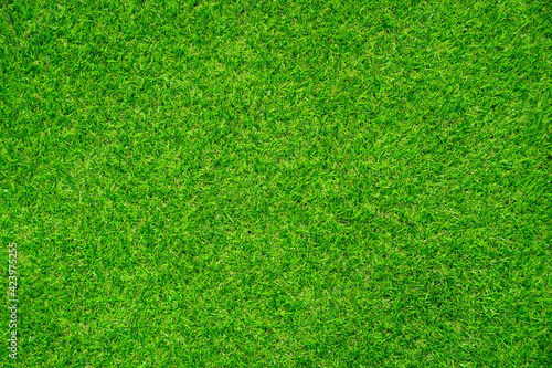 Green grass texture background Top view of bright grass garden. Idea concept used for making green backdrop. 