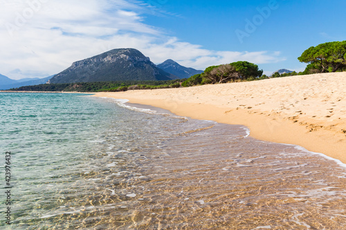 Sardinia beach.Panoramic landscape of sardinia.Mountains and pine-trees view at the beach.