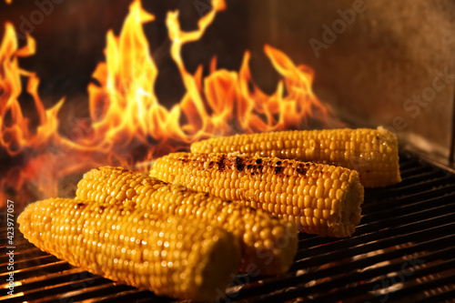 Cooking delicious fresh corn cobs on grilling grate in oven with burning firewood, closeup photo