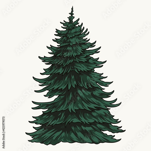 Evergreen fir tree vintage colorful template