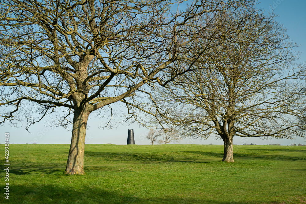 Obraz premium Black Mill with leafless trees under blue sky in spring Beverley, UK.