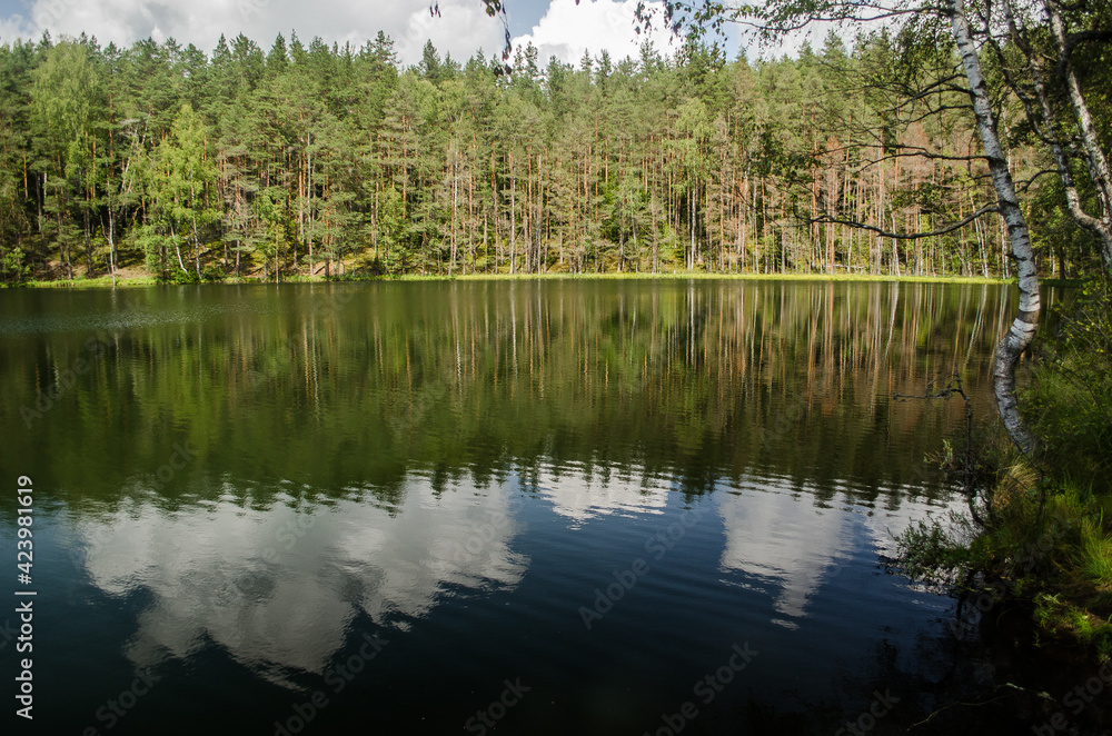 Certoks lake, forest and reflection, Latvia