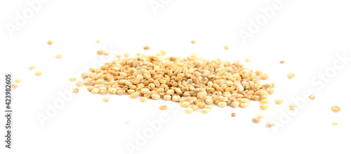 Pile of raw quinoa grains on white background