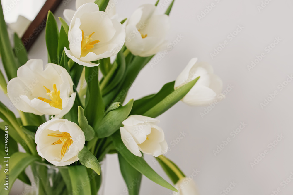 Bouquet of fresh spring white tulips Bouquet of fresh spring white tulips