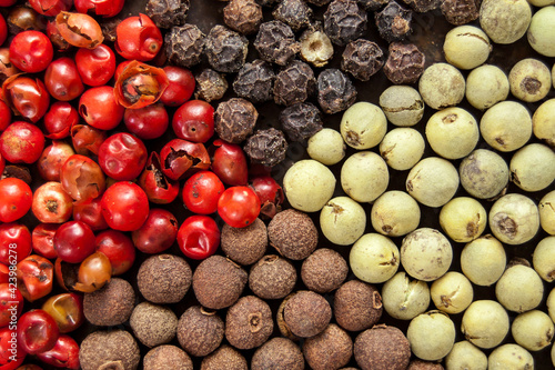 Four pepper spices in red, green, brown and black colors