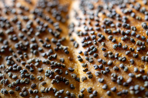 Whole wheat bread. Fresh loaf of rustic traditional bread with wheat poppy seeds in pattern of macro photography. Rye bakery with crusty loaves and crumbs. Homemade baking.