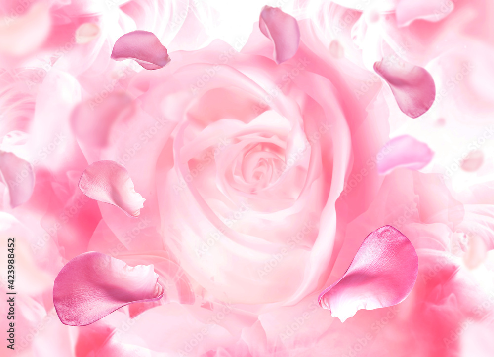 roses petal background