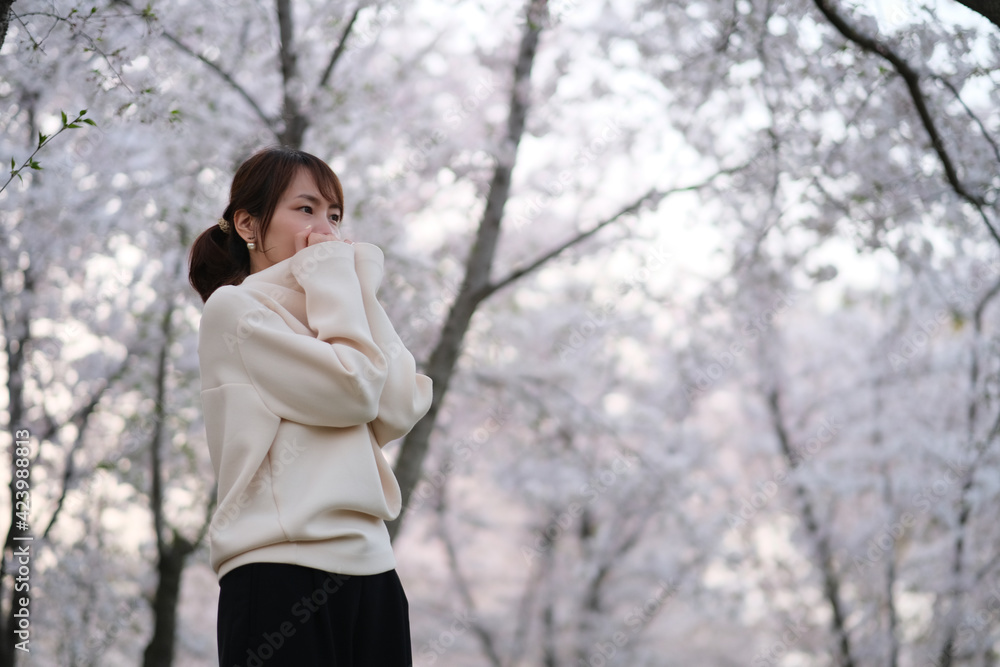 mid shot of one fashionable Asian young woman under white sakura flower tree mid shot of one fashionable Asian young woman under white sakura flower tree