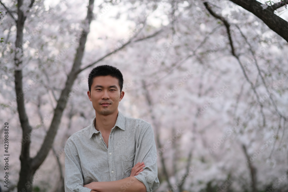 mid shot of one Asian young man under white sakura flower tree mid shot of one Asian young man under white sakura flower tree
