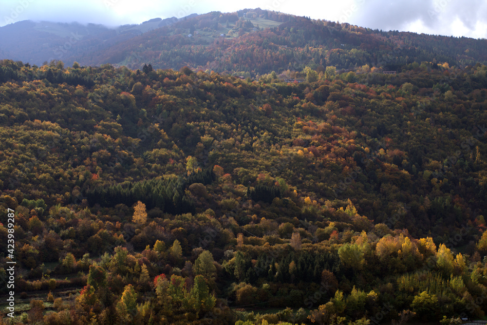 autumn in the mountains,trees,nature, landscape,view, panorama,panoramic,country, 