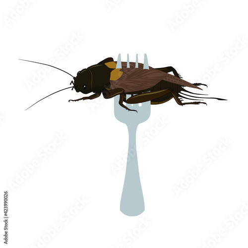 Food Insects: Crickets insect deep-fried crispy for eating as ready meal food items on fork, it is good source of protein edible for future. Entomophagy concept.