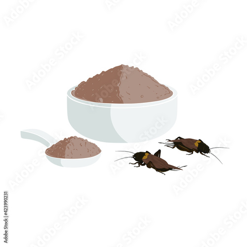 Crickets powder or Gryllus Bimaculatus. Insects powder as food edible processed made of cooked insect in bowl and spoon, it is good source of protein for eating future food and entomophagy concept.