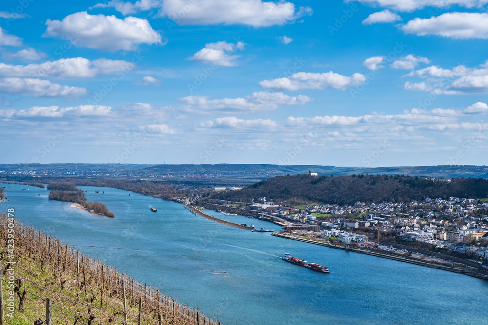 The Rhine valley near Rüdesheim / Germany in spring