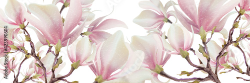 Magnolia flower, vector pink blossom. Sakura floral design. 3d minimal illustration, rose bloom.