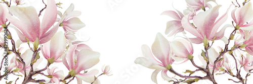 Magnolia flower, vector pink blossom. Sakura floral design. 3d minimal illustration, rose bloom.