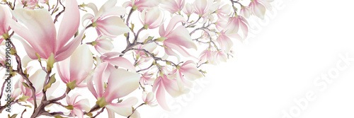 Magnolia flower, vector pink blossom. Sakura floral design. 3d minimal illustration, rose bloom.