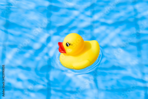 Toy rubber duck. Yellow inflatable plastic toy for kids swim in blue water of summer pool. Hello summer concept.