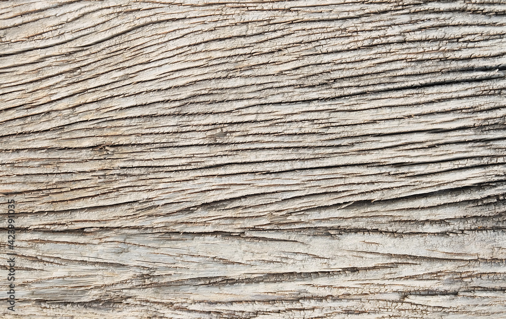 Old wood texture, Background of Cracked wood Old wood texture, Background of Cracked wood