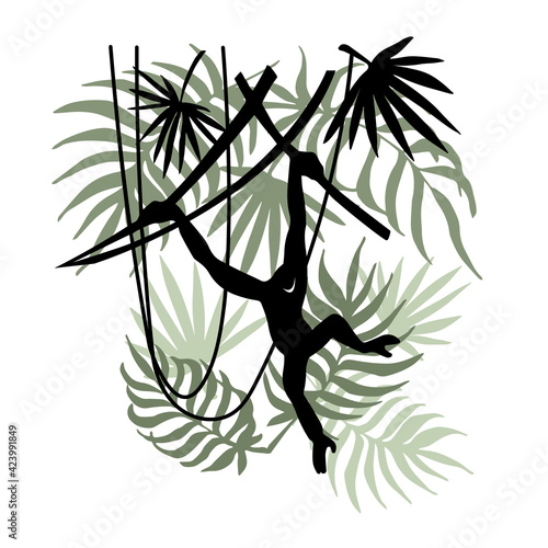 black silhouette of gibbon jumping on lianas and palm branches in jungle, color vector illustration isolated on a white background in hand drawn style