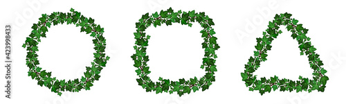 Ivy leaves garlands. Set of decorative floral frame borders. Circular, square and triangula shape. Summer green ivy foliage branches isolated on shite background. Vector illustration