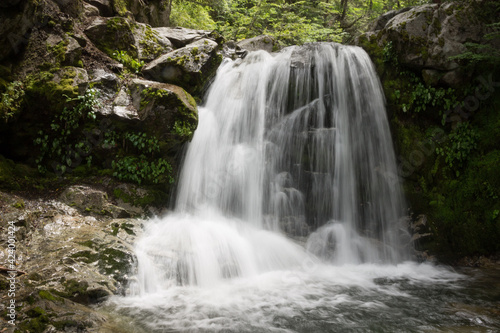 Fototapeta Naklejka Na Ścianę i Meble -  waterfall flowing in a hidden place in a green peaceful place