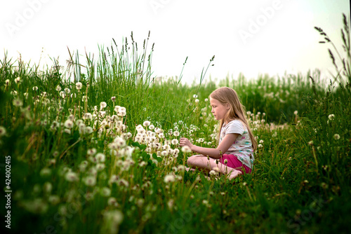 Adorable little girl and dandelions in the park selective focus