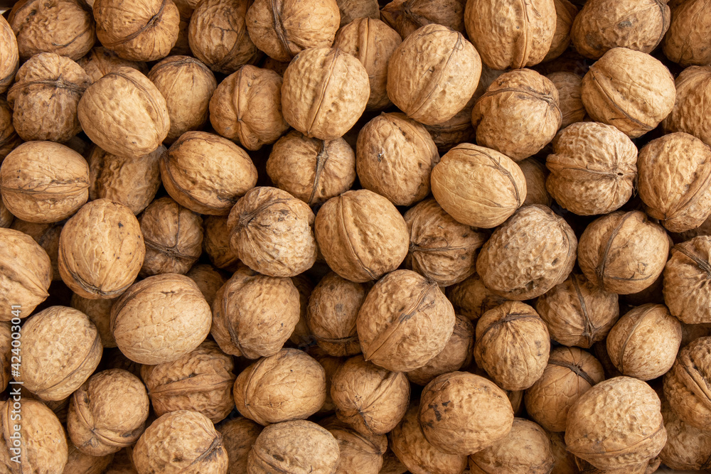 background of walnuts in shell, scattered pile of walnuts natural background of walnuts in shell, scattered pile of walnuts natural