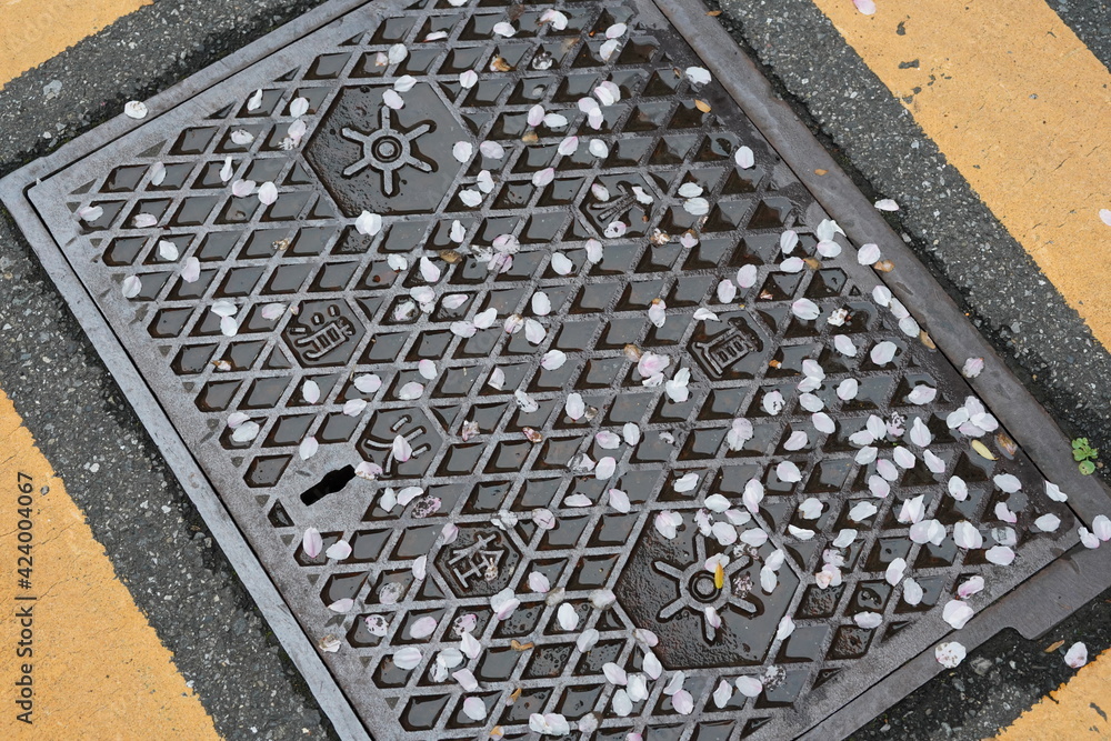 Fototapeta premium manhole 1