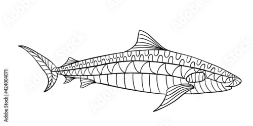 shark fish coloring page contour vector illustration for children and adults