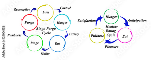 Binge - Purge vs Healthy Eating Cycles