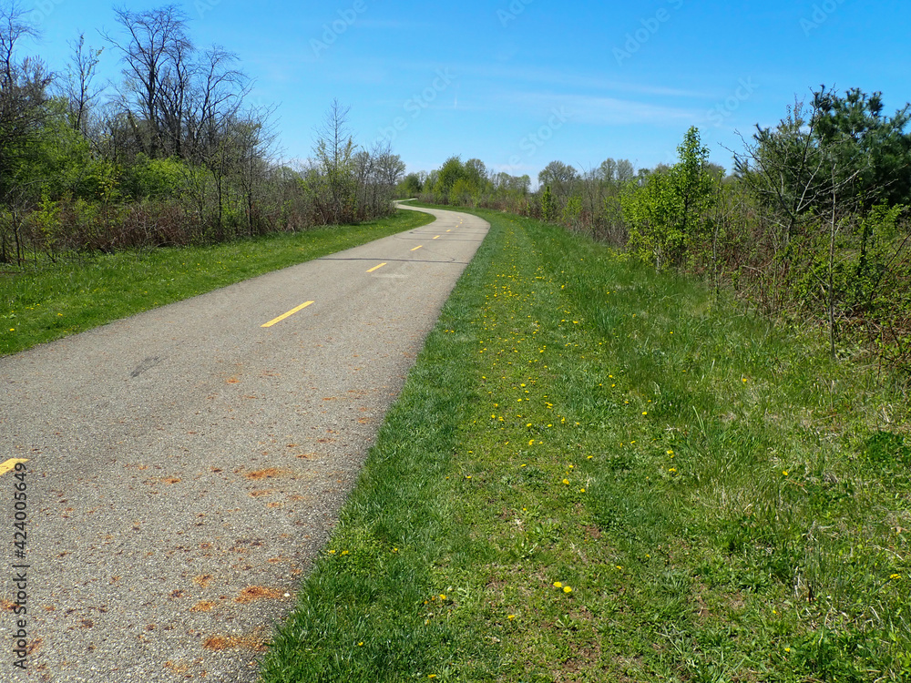 Pathway through the grass and trees Pathway through the grass and trees