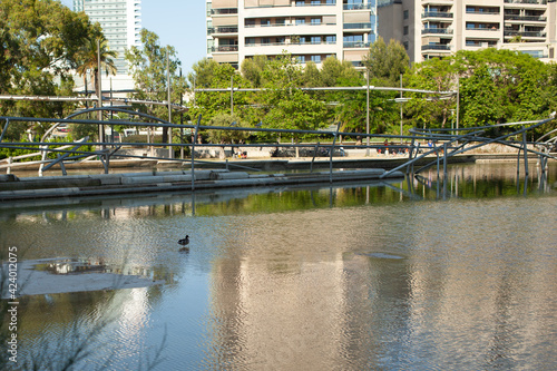 An artificial reservoir in a city park. Resting place for the townspeople and embracing birds. Barcelona, Spain, Diagonal Mar Park. © Albina