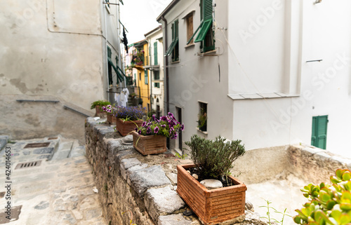Porto Venere  Liguria  Italy. June 2020. Typical secondary alley in the heart of the town  they are called carruggio. Houses close together and pots with ornamental plants lend a distinctive charm.