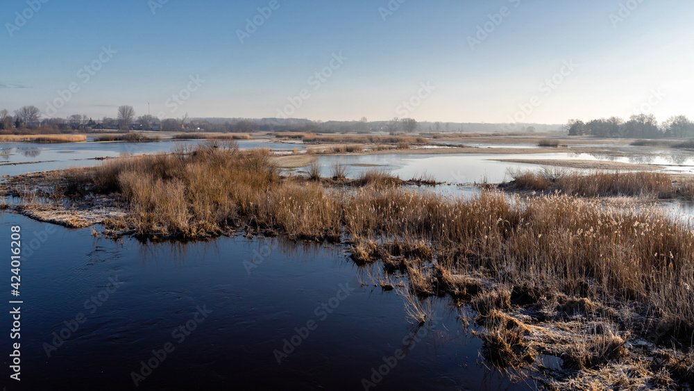 Wiosna w Dolinie Górnej Narwi, Podlasie, Polska