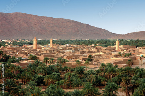 Palm grove of  Figuig in Morocco photo