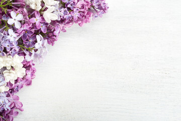 Spring background.  Different   tiny flowers of Lilac on the  white wooden shabby background. Floral border. Flat lay.