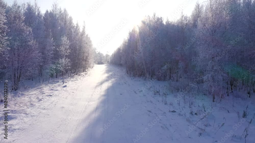 Aerial Shot of Snow White Forest Covered With Hoarfrost. Aerial Shot of Snow White Forest Covered With Hoarfrost.