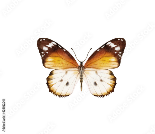 Watercolor colorful butterflies, isolated on white background. blue, yellow, pink and red butterfly spring illustration © Мария