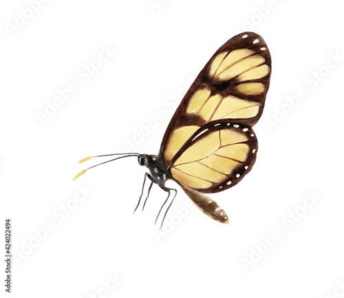 Watercolor colorful butterflies, isolated on white background. blue, yellow, pink and red butterfly spring illustration