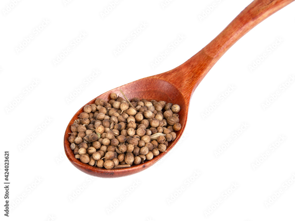 Dried cilantro spices in wooden spoon isolated on the white background Dried cilantro spices in wooden spoon isolated on the white background
