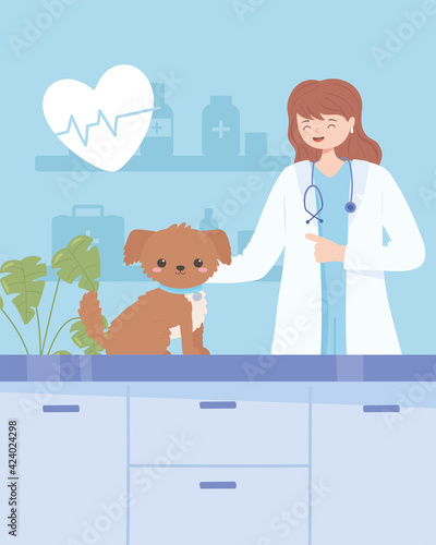 vet examines dog