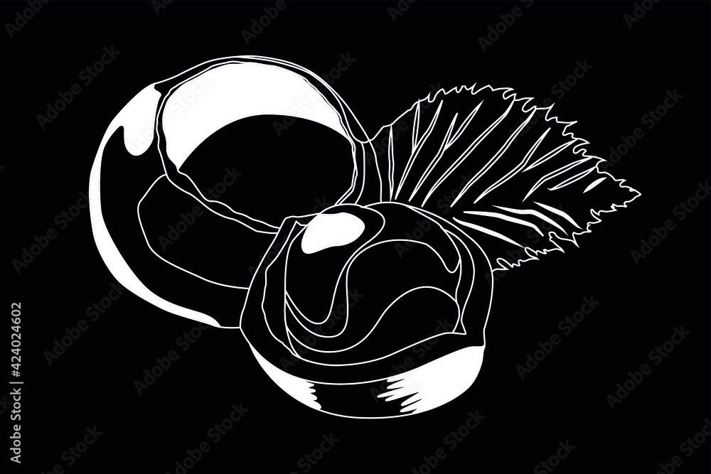 nut white on black background nut white on black background