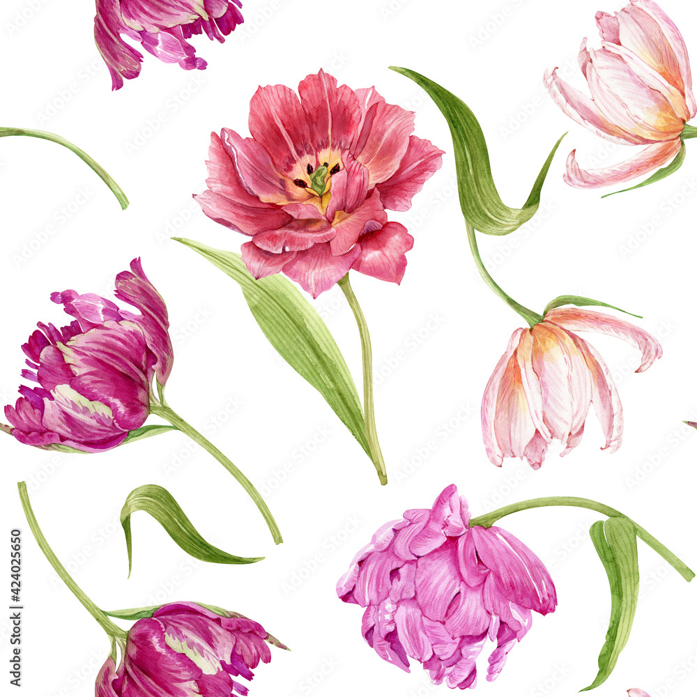 seamless background with multicolored flowers tulips closeup on a white background. illustration watercolor hand painted seamless background with multicolored flowers tulips closeup on a white background. illustration watercolor hand painted