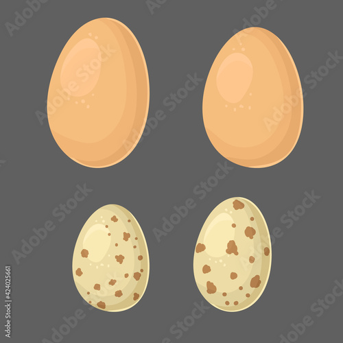 Chicken and quail eggs. Color vector flat illustration isolated on a gray background.
