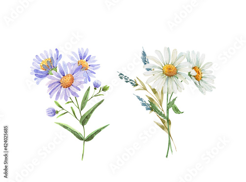 set with delicate bouquets of garden flowers illustration watercolor, hand painted on white background