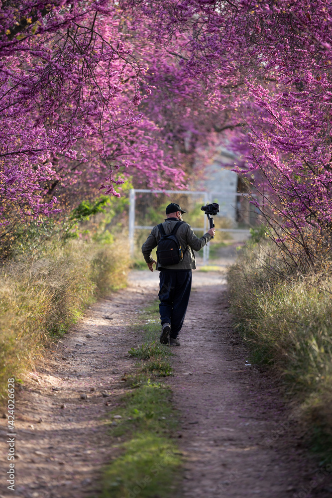 man recording a video in a landscape of flowering trees man recording a video in a landscape of flowering trees