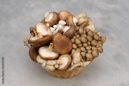 Variety of uncooked wild forest mushrooms in a basket isolated on gray background.